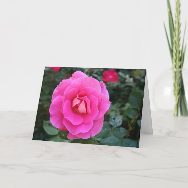 Att tänka på dig Rosa ros Card Kort (Framsida)