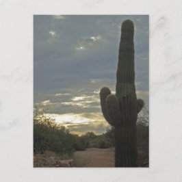 Att tänka på dig Saguaro Cactus Photo Peace Vykort