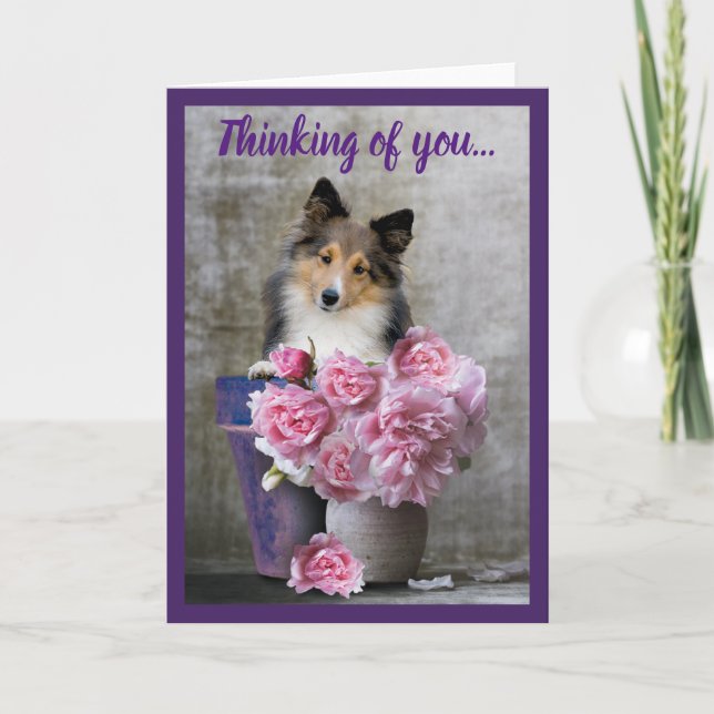 Att tänka på dig Sheltie Hund Card Personalize Helgkort (Framsida)