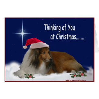 Att tänka på dig Sheltie Notecards OBS Kort