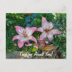Att tänka på dig Söt Rosa Lilies Vykort