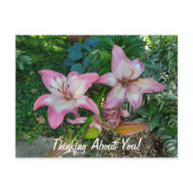 Att tänka på dig Söt Rosa Lilies