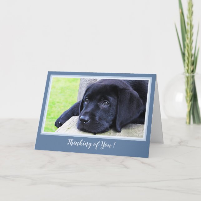 Att tänka på dig - Sweet Black Labrador Puppy Kort (Framsida)