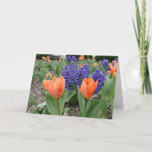 Att tänka på dig, Tulips och Hyacinths Kort