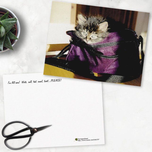 Att tänka på dig vid AVakkitten i Lila. Vykort (Skapare uppladdad)