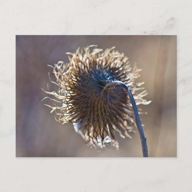 Att tänka på dig vykort (Framsida)