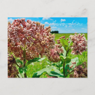 Att tänka på dig vykort