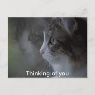 Att tänka på dig vykort