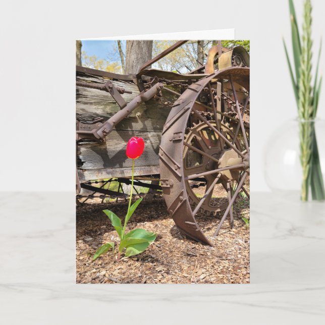 Att tänka på din gamla vagn och röda tulpaner kort (Framsida)