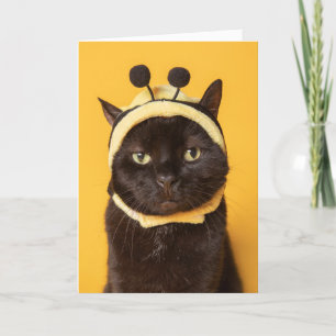 Att tänka på din konstiga katt i Bumblebee Hat Hum Helgkort