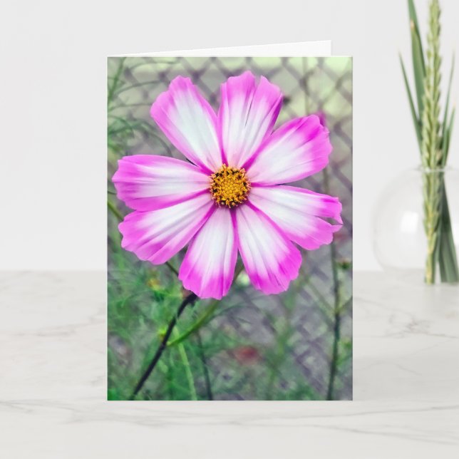 Att tänka på din Rosa och vita kosmos Flower Kort (Framsida)