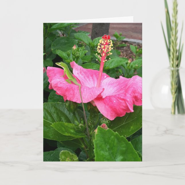 Att tänka på din tropiska Rosa Hibiscus Lizard Kort (Framsida)