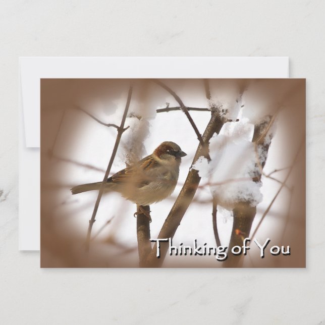 Att tänka på dina kort - Brun med Bird (Framsida)