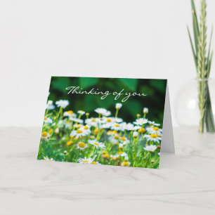 Att tänka på dina vita blommor Modern sympati Kort