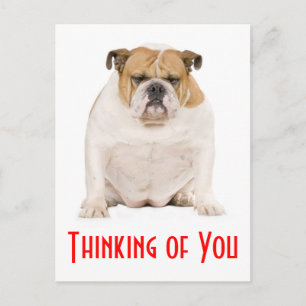 Att tänka på ditt engelska postkort för bulldog Pu Vykort