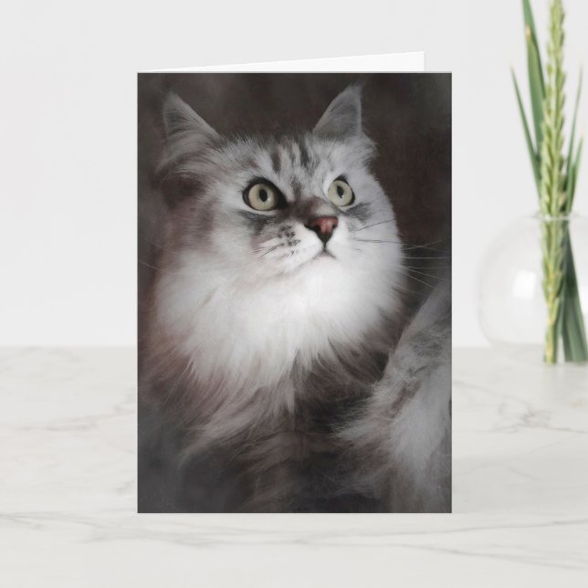 Att tänka på ditt kort (Framsida)