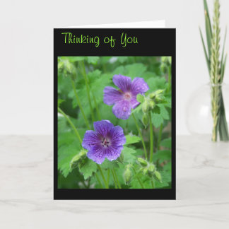 Att tänka på ditt kort