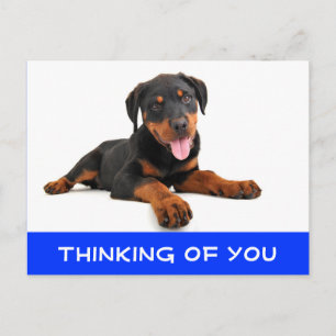 Att tänka på ditt Rottweiler Puppy Hund Postcard Vykort