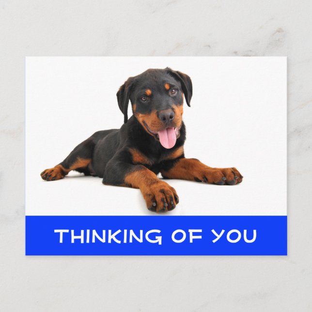 Att tänka på ditt Rottweiler Puppy Hund Postcard Vykort (Framsida)