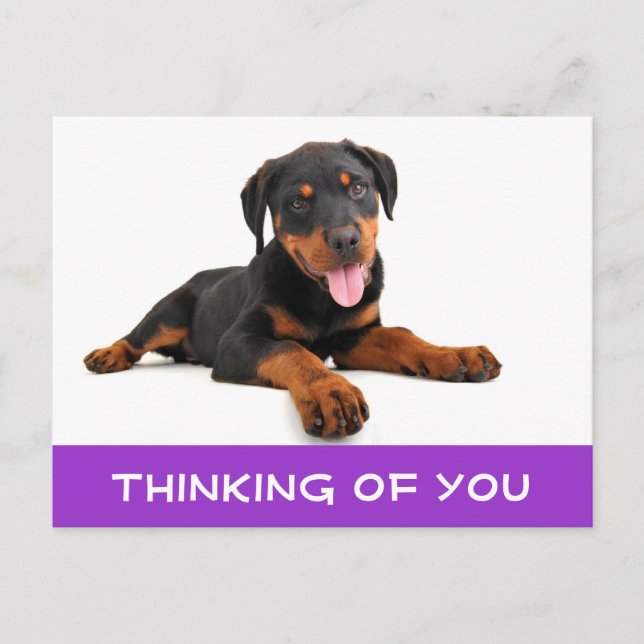 Att tänka på ditt Rottweiler Puppy Hund Postcard Vykort (Framsida)