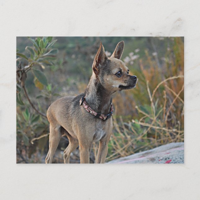 Att tänka på ditt vykort (Framsida)