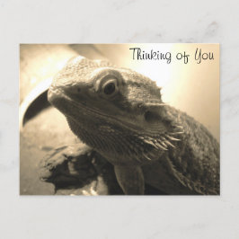 Att tänka på ditt vykort