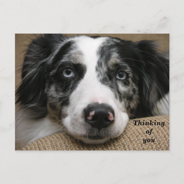 Att tänka på ditt vykort (Framsida)