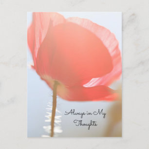 Att tänka på er Red Poppy i Sunrise Vykort