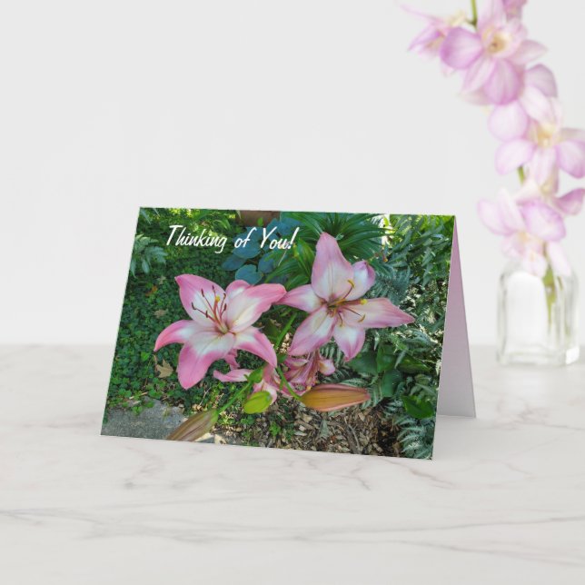 Att tänka på er Rosa Lily Kort (Orkide)