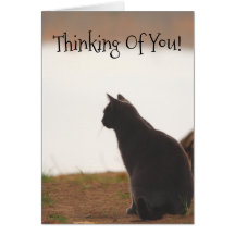 Att tänka på er vän