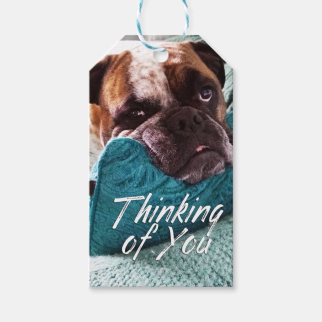Att tänka på Märkrn Bulldog Photo Gift Presentetikett (Framsidan)