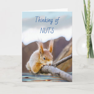 Att tänka på Nöt och du naturligtvis med Squirrel Kort