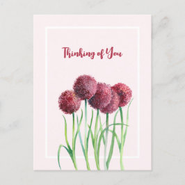 Att tänka på Rosa Alliums Flower Watercolor Vykort