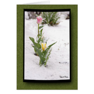 Att tänka på You Snö Sprinkled Rosa Gult Tulips Hälsningskort