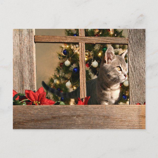 Att titta efter tomten helg vykort (Framsida)