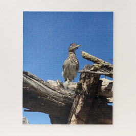 Att titta på Coyote Pussel