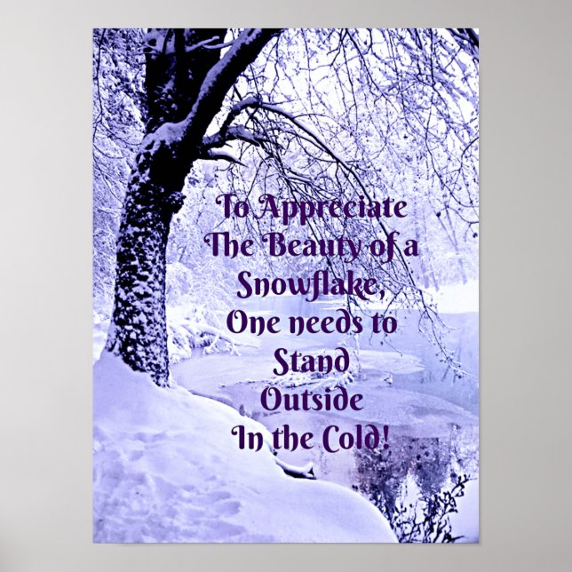 Att uppskatta en snöflammas skönhet poster (Framsidan)