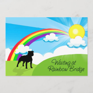 Att vänta på regnbågen överbryggar Pitbulls Inbjudningar