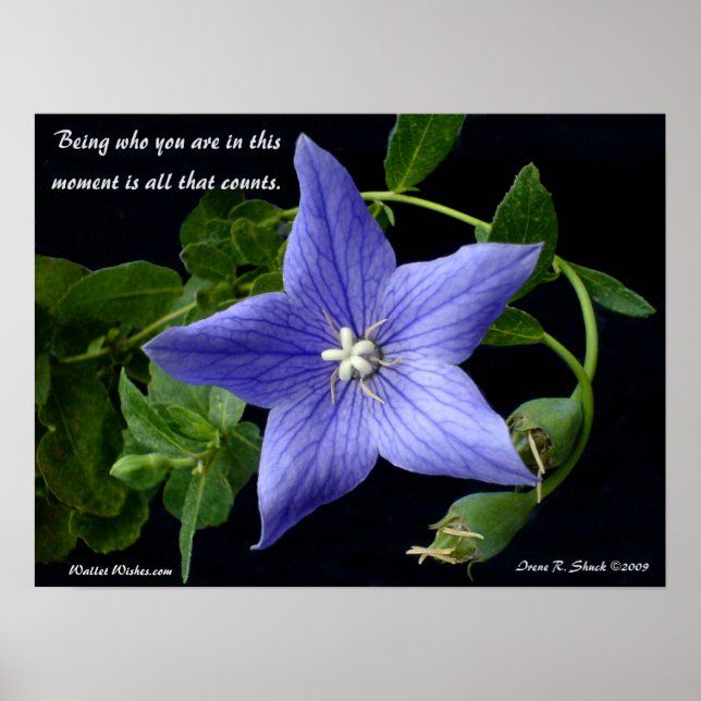 Att vara den du är. poster (Framsidan)