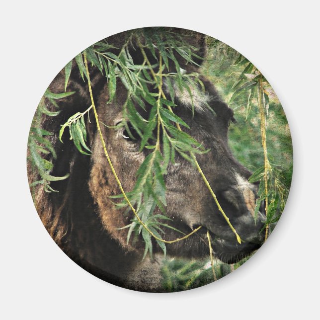 Att vara Onery Magnet (Framsidan)