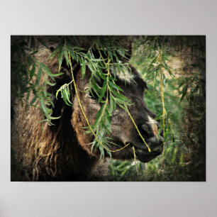 Att vara Onery Mini Filly under Willow Träd Poster
