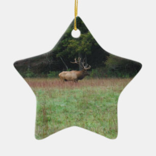 Åtta 8 punkter Bull Elk under hösten Julgransprydnad Keramik