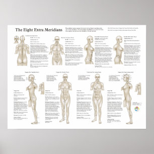 Åtta extraordinära akupunkturer Meridians Poster