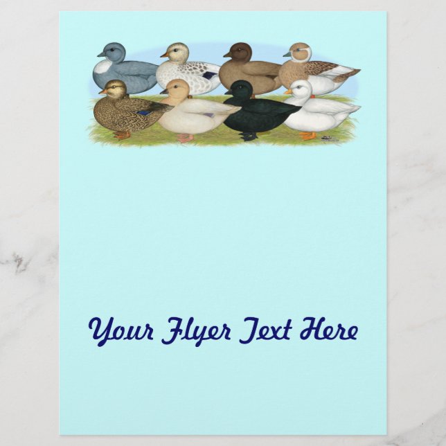 Åtta samtal Anka Reklamblad (Framsidan)