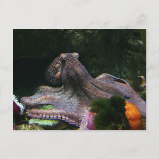 Åtta sätt att ta tag i vykort