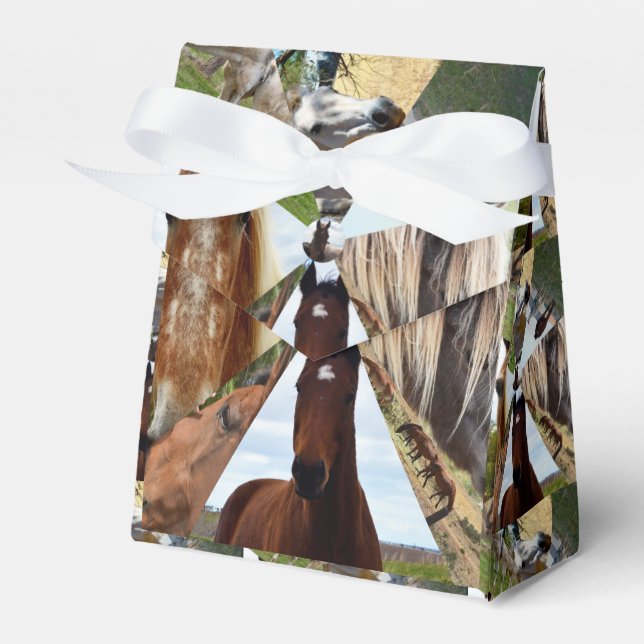 Åtta trianglar för häst, partnernas favoritruta presentaskar (Framsidan Sidan)