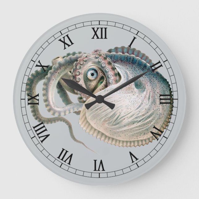 Åttaarmad Argonaut, Förhistoriska Havsdjur Stor Klocka (Framsida)