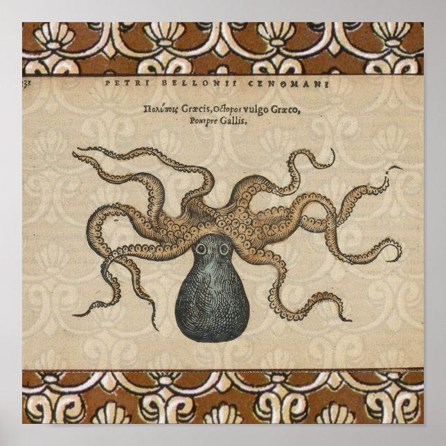 Åttabent Kraken Vintage Illustration Poster (Framsidan)