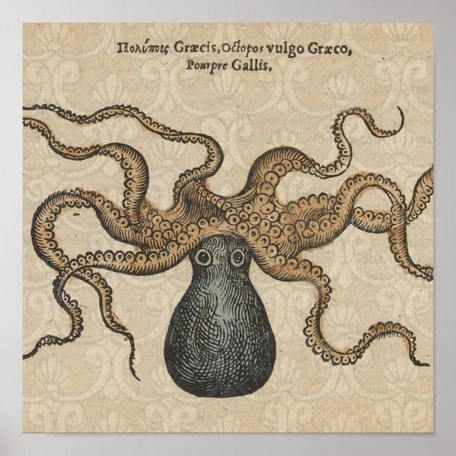 Åttabent Kraken Vintage Illustration Poster (Framsidan)