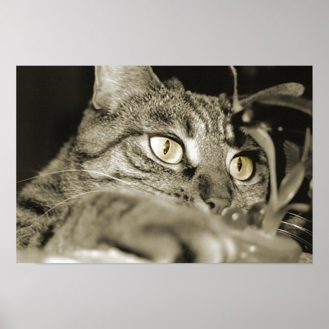 Attack Poster (Framsidan)